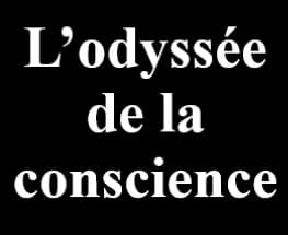 Image de mise en avant