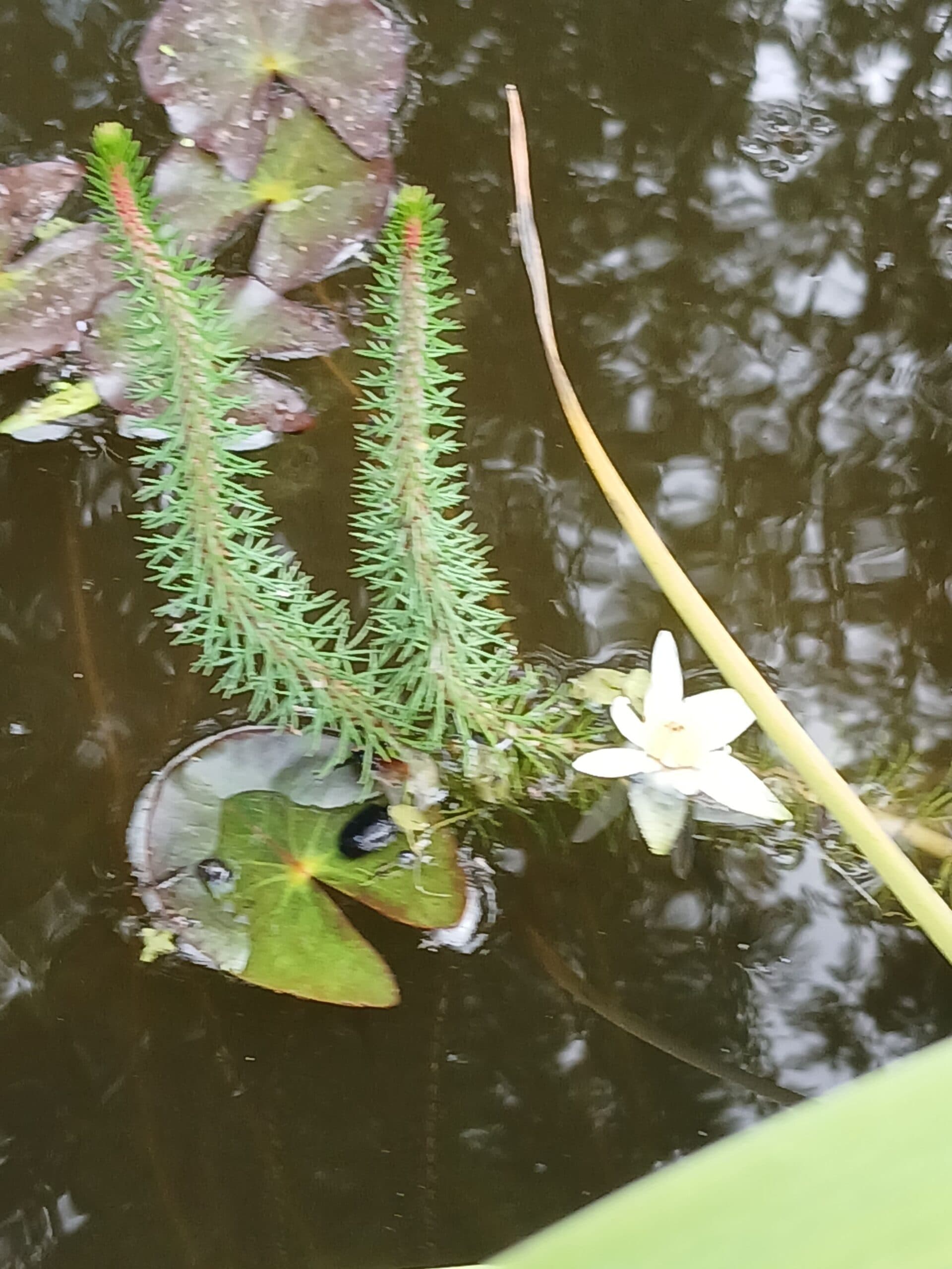 Image de mise en avant