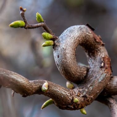 Image de mise en avant