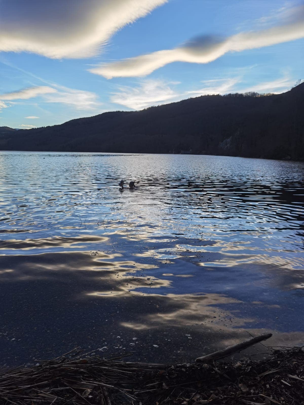 Image de mise en avant